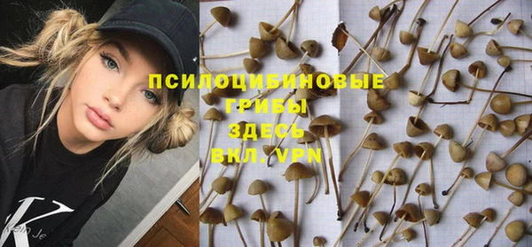 соль курить ск Инсар