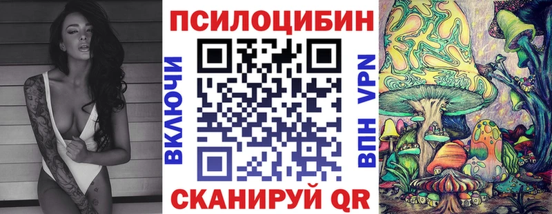 это какой сайт  Кашира  Псилоцибиновые грибы Magic Shrooms  купить наркотик 