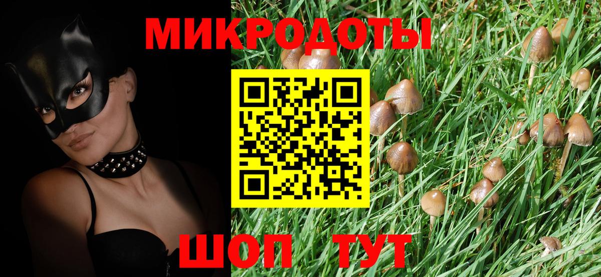 Галлюциногенные грибы прущие грибы  Псилоцибиновые грибы мицелий  Вход с VPN  Кашира 