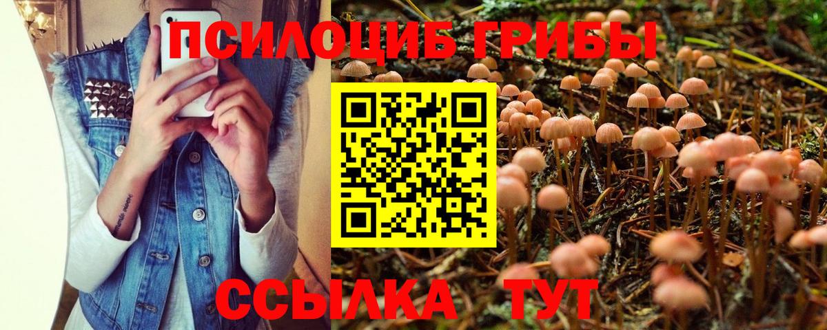 Галлюциногенные грибы мухоморы Кашира
